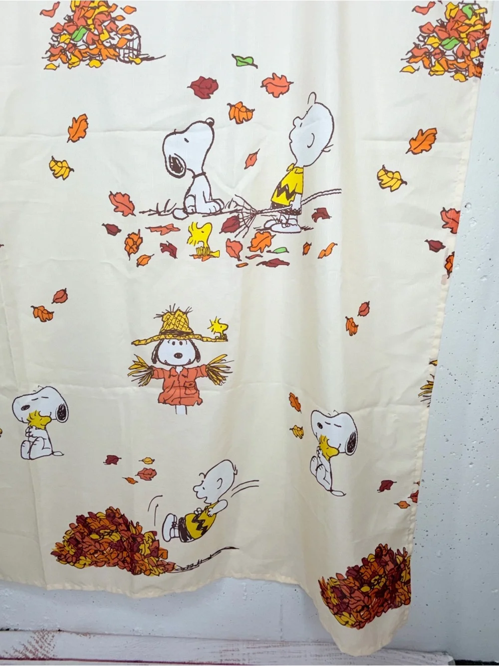 Peanuts Celebrate Together Snoopy & Woodstock Halloween Fall Shower Curtain
